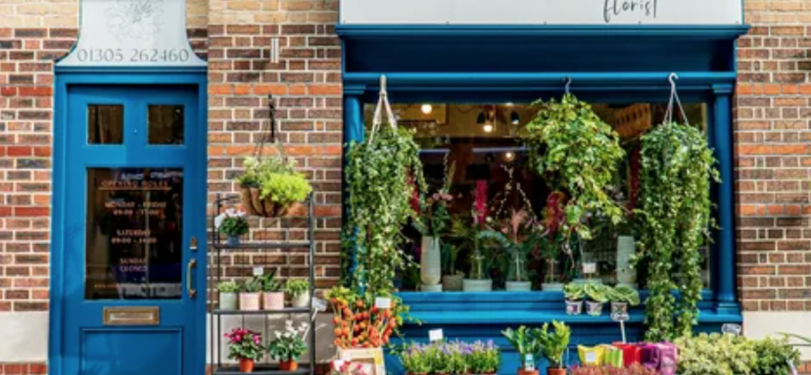 Stems Florist Discover Dorchester