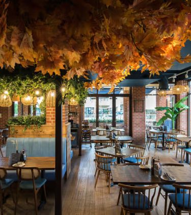 zizzi-dorchester-low-res-034