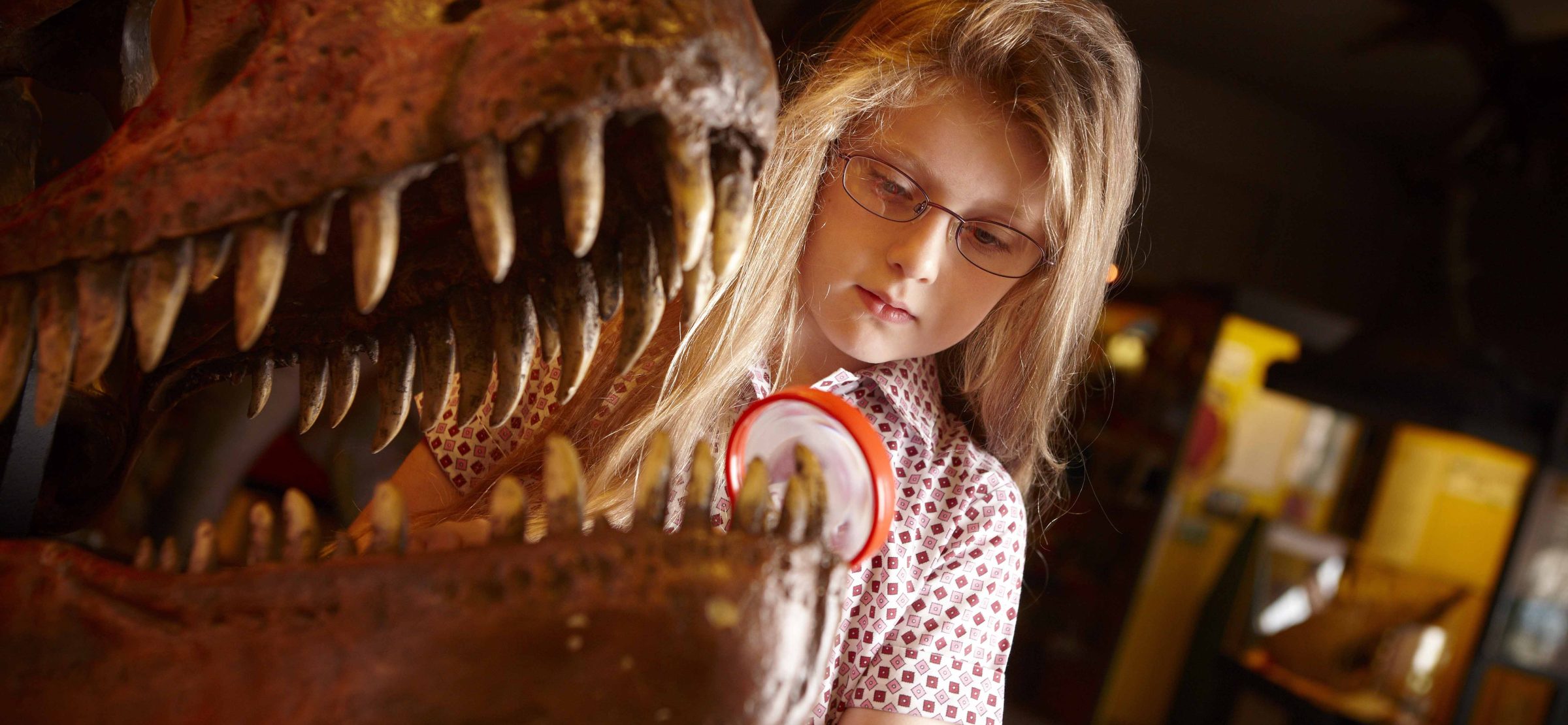 ©DINOSAUR-MUSEUM-SCHOOLS015 copy 2