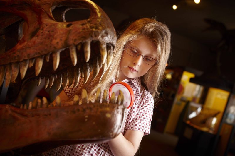 ©DINOSAUR-MUSEUM-SCHOOLS015 copy 2