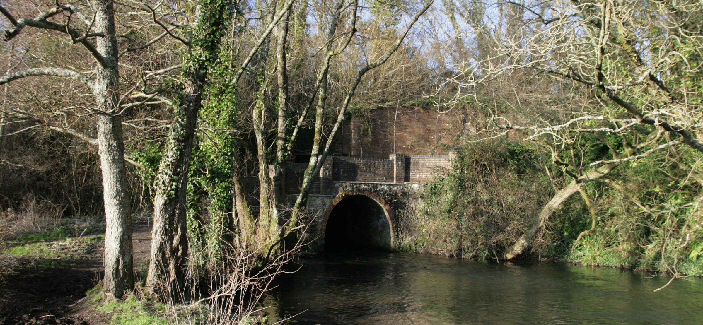 River Frome near Maiden Newton