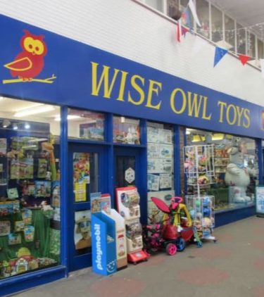 Wise Owl Toys