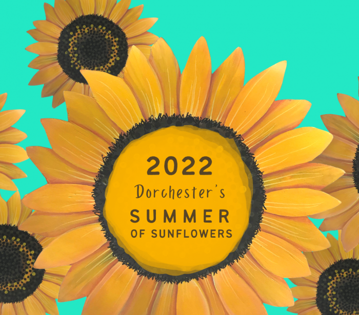 Summer of Sunflowers