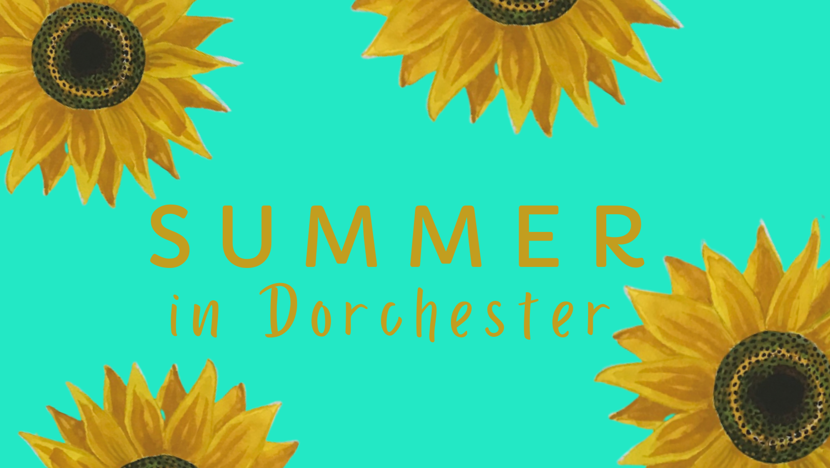 Summer in Dorchester