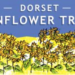 Dorset Sunflower Trail