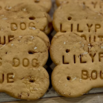 LilyPups Dog Boutique