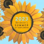 Summer of Sunflowers