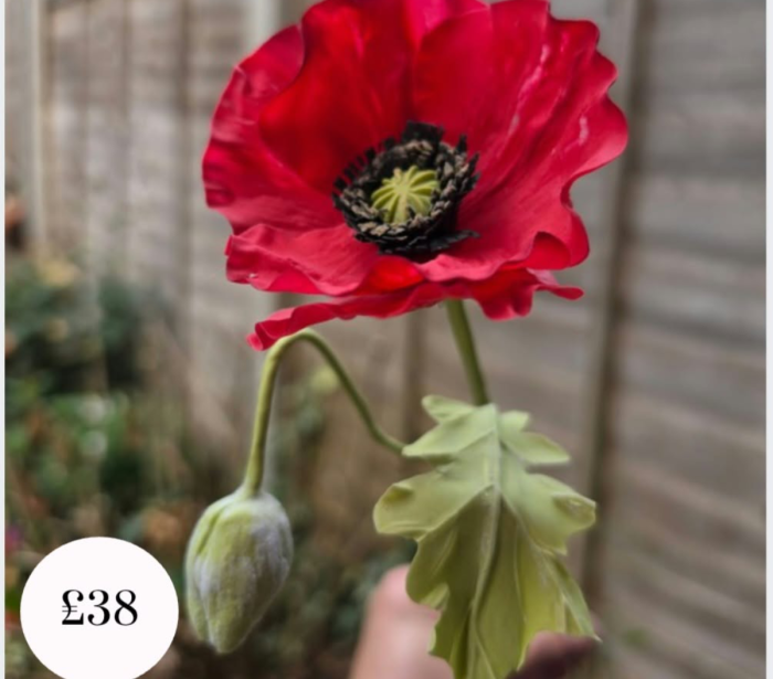 poppy resized