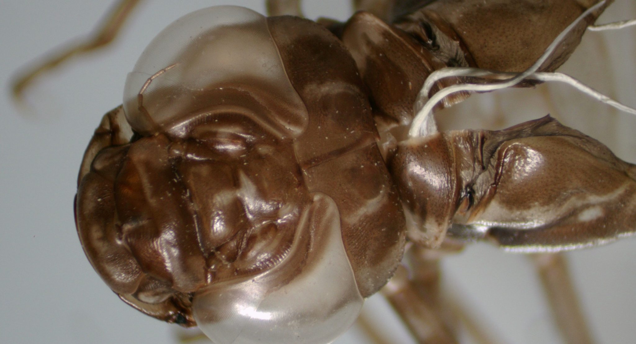 633365617_1227796982803913_305992416200263989_n