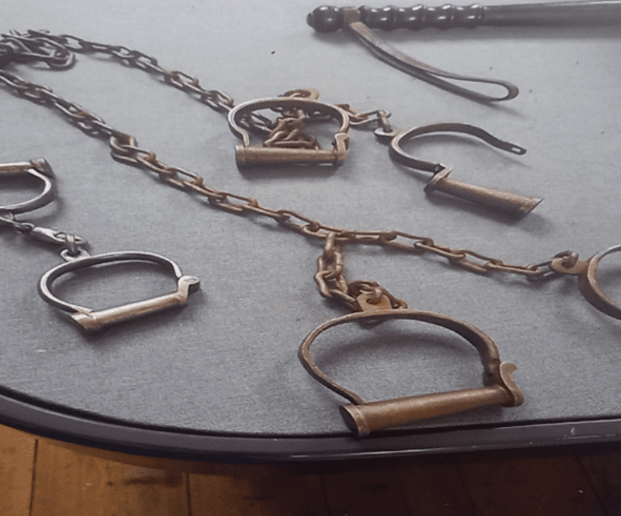 Screenshot 2026-03-11 110010