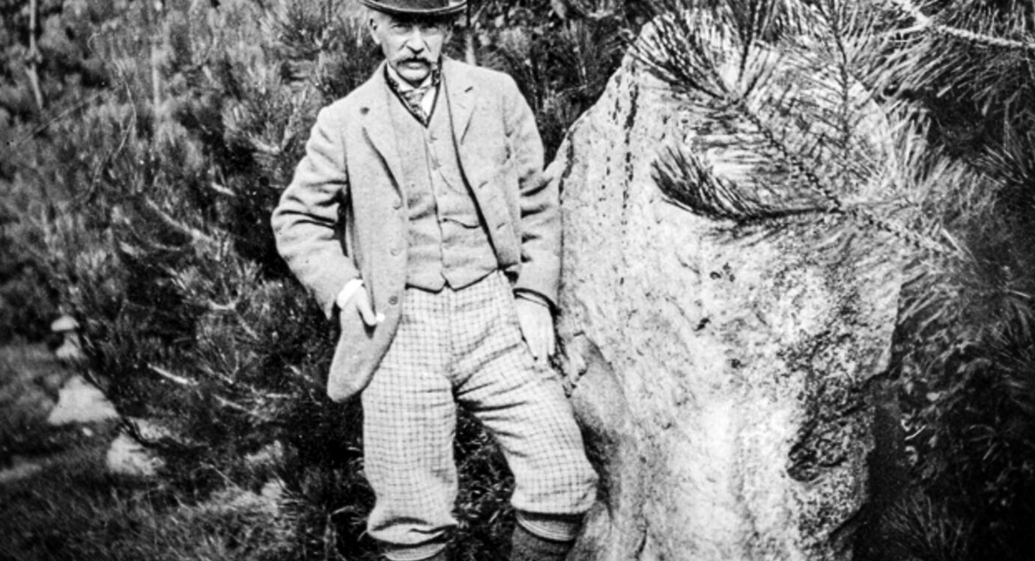 The-Druid-Stone-and-Thomas-Hardy