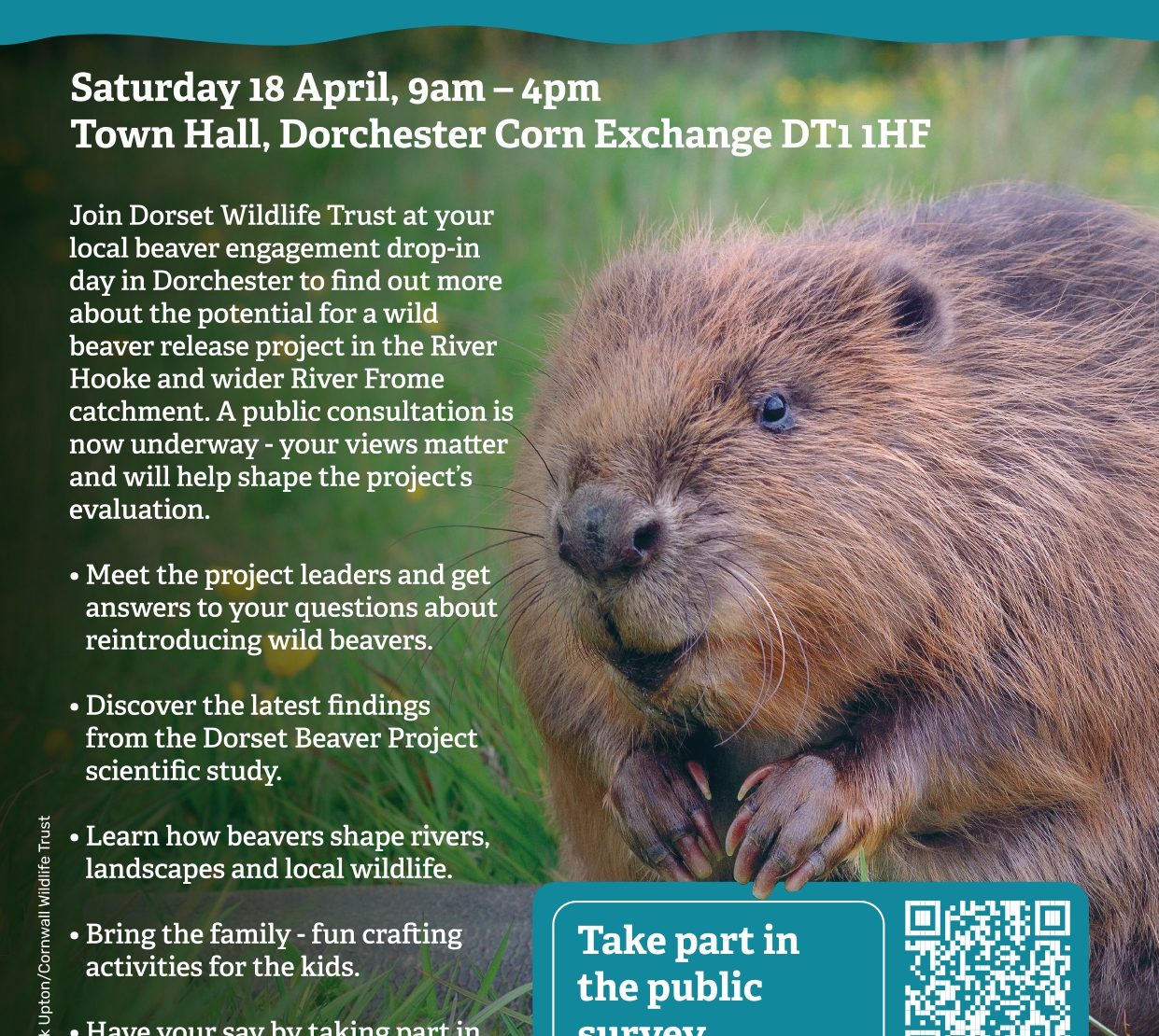 Beaver consultation event