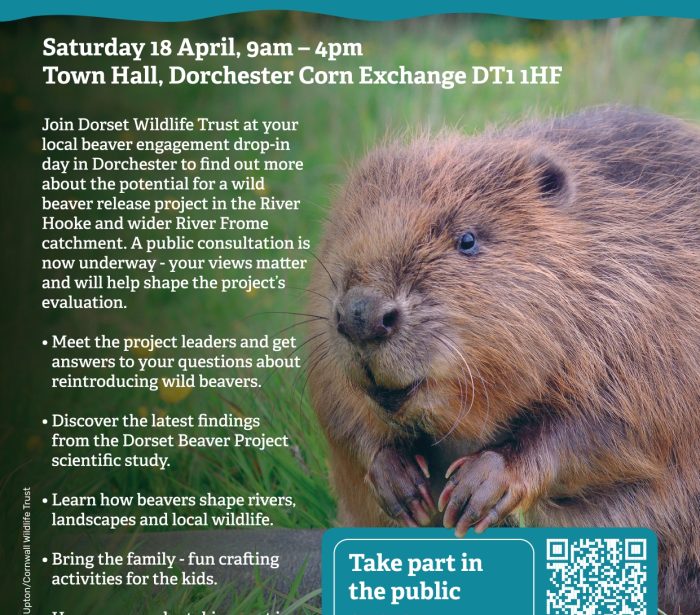 Beaver consultation event