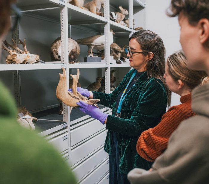 Emily-Endean-Photography_Day2_-7-2048×1365