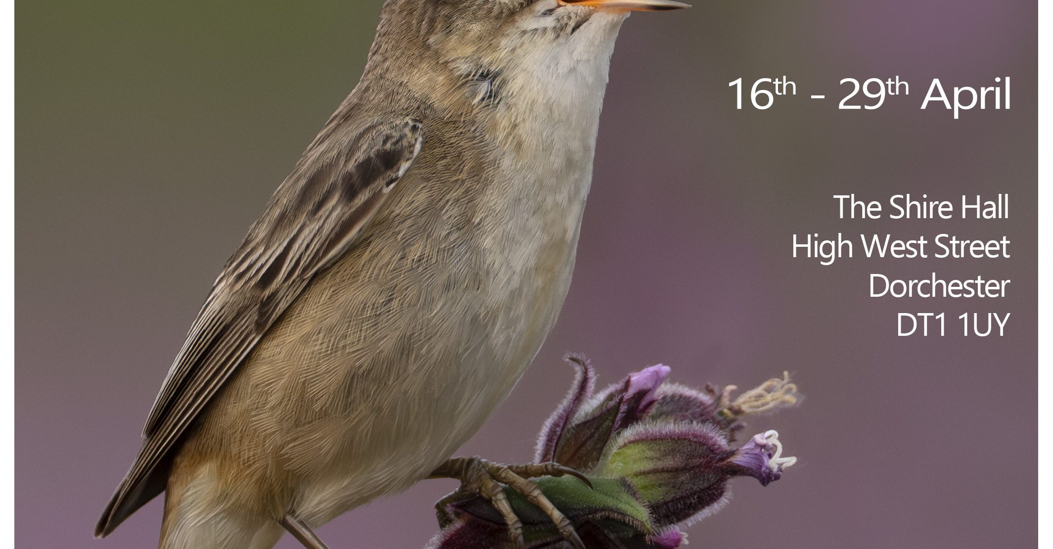 Exhibition Poster Final small