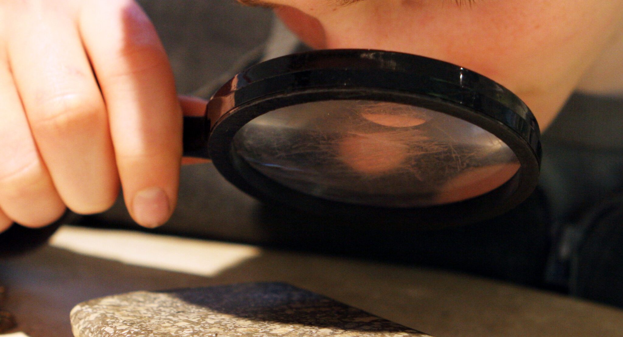 Fossil-Identification-2048×2048