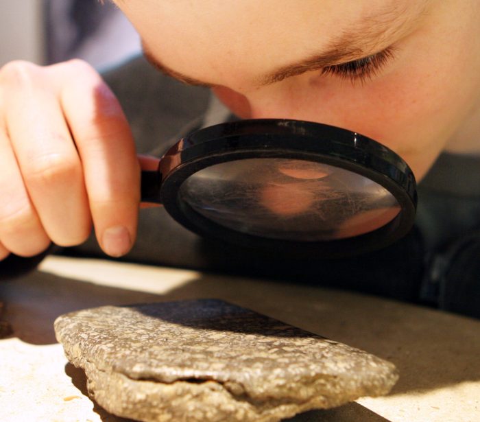 Fossil-Identification-2048×2048