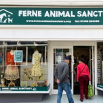 Ferne Animal Sanctuary