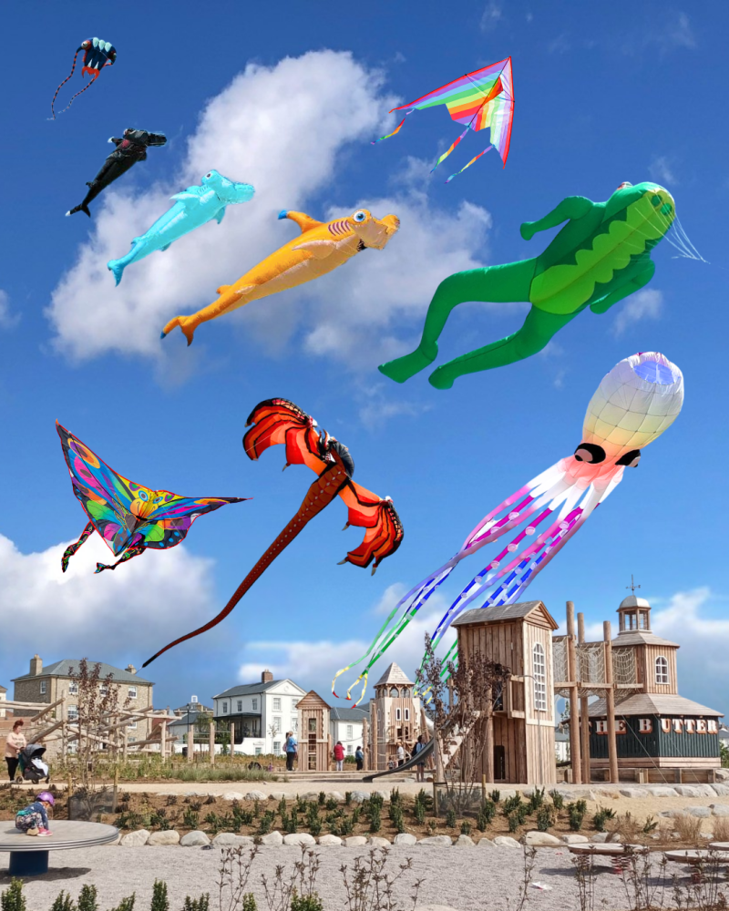 DKF – POV great field kites