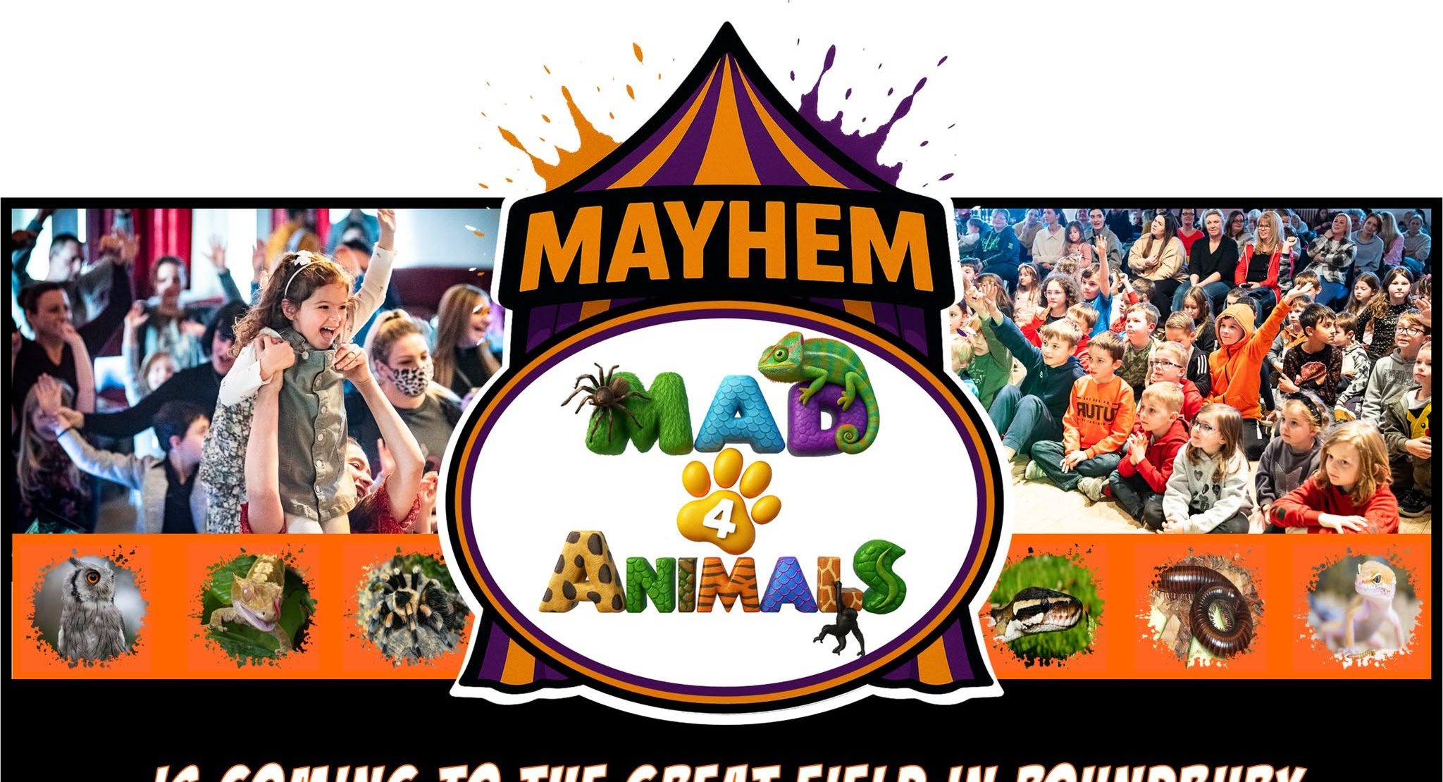Mayhem Mad 4 Animals