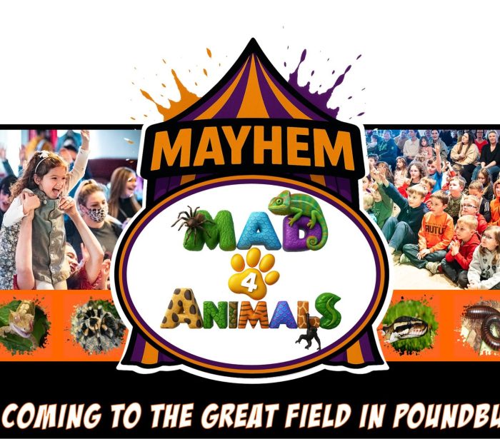 Mayhem Mad 4 Animals