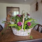 Autumn flowers