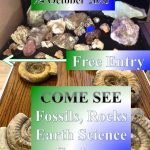 GEOFEST