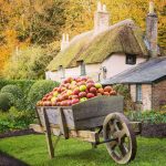 Apple Pressing at Hardy’s Cottage