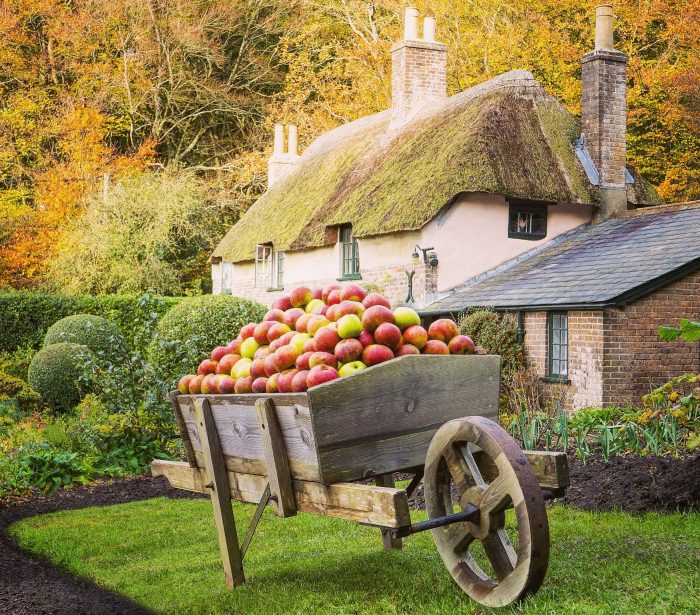 hardys cottage apple pressing